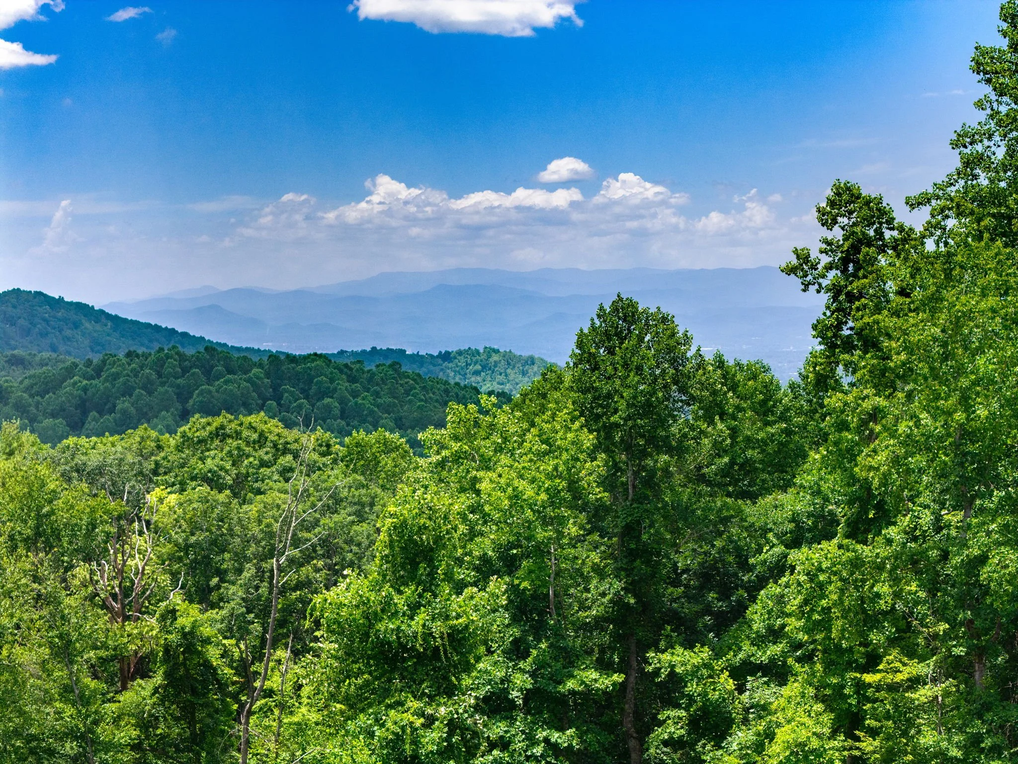 620-dancing-bear-drive-lot195-hendersonville-05.jpg