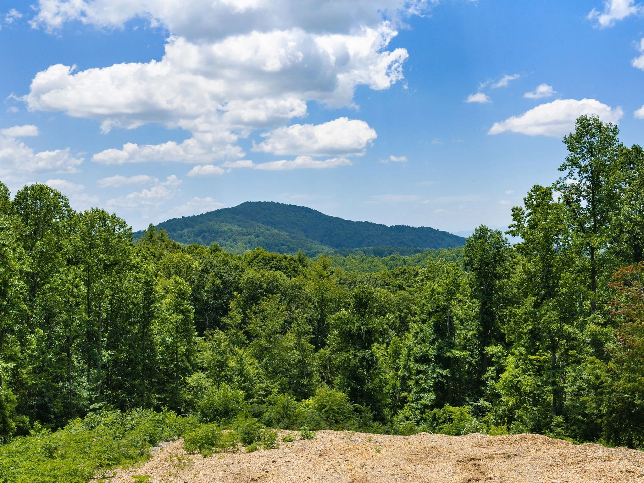 620-dancing-bear-drive-lot195-hendersonville-09.jpg