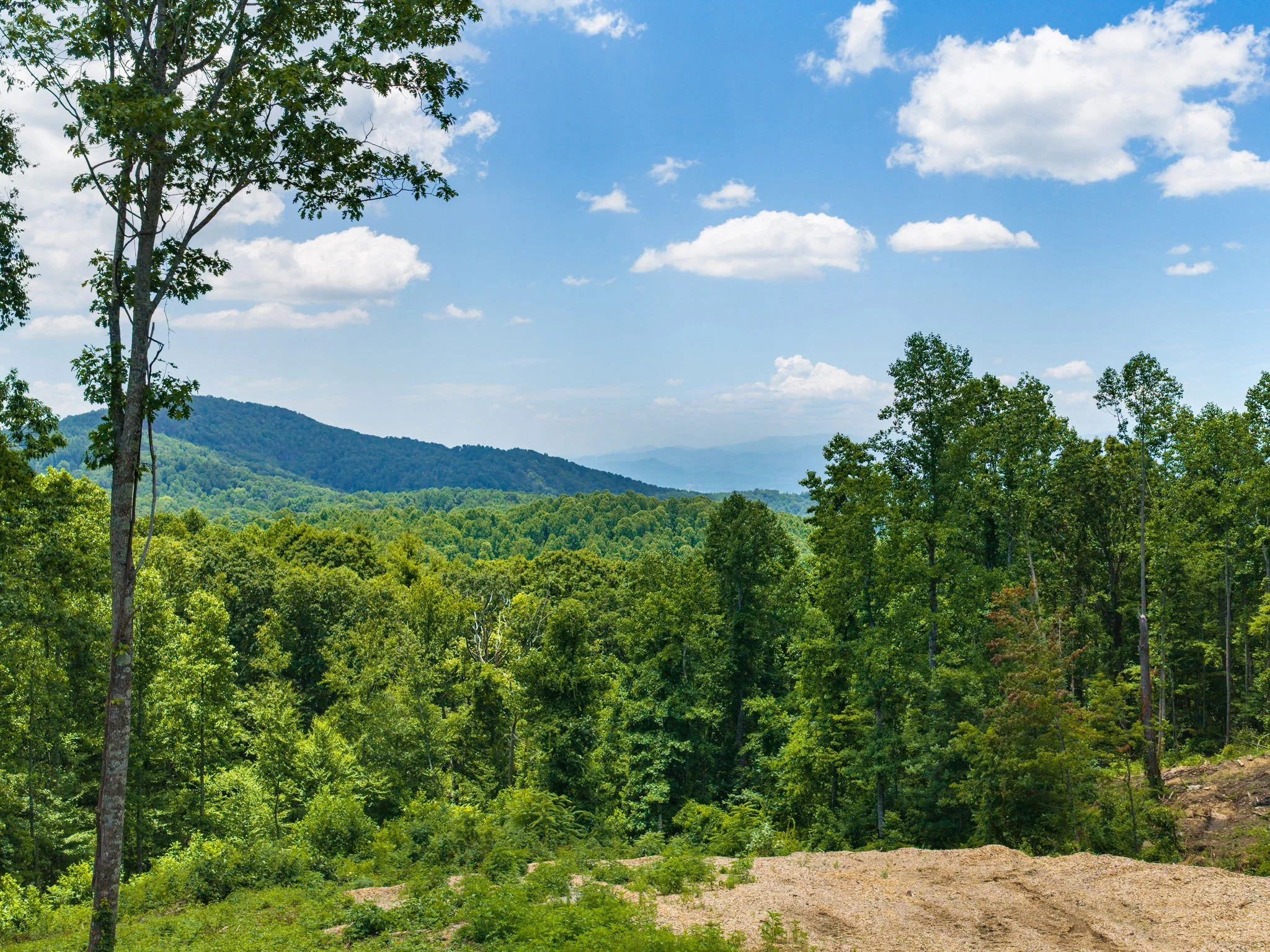 620-dancing-bear-drive-lot195-hendersonville-10.jpg