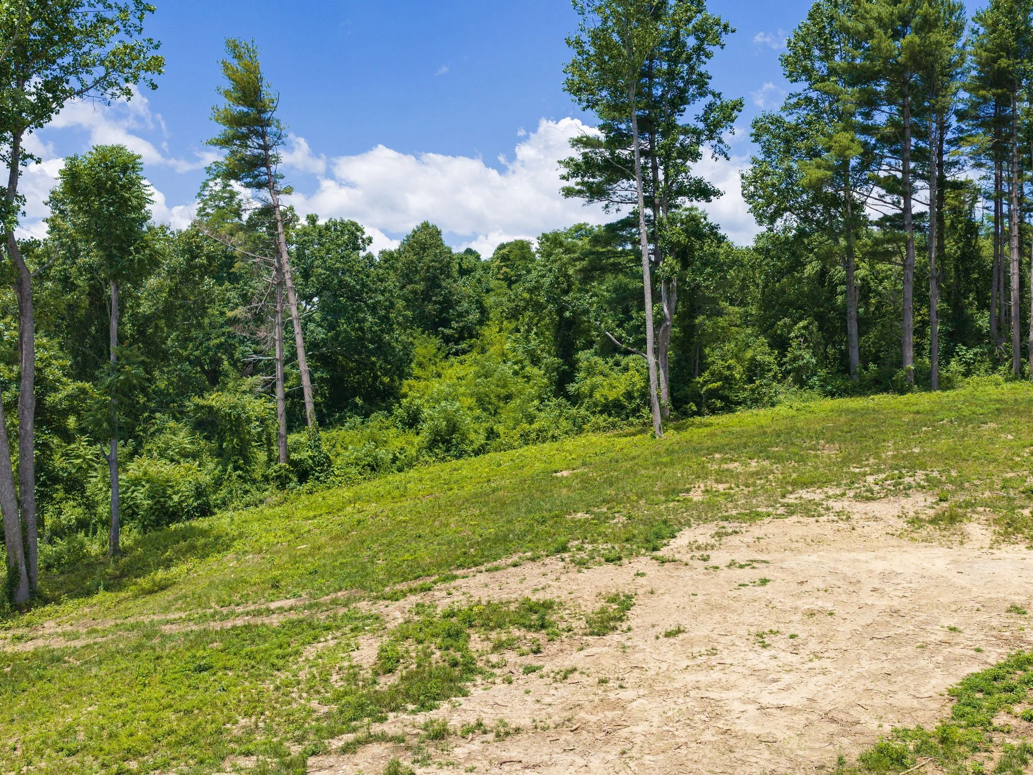 620-dancing-bear-drive-lot195-hendersonville-11.jpg