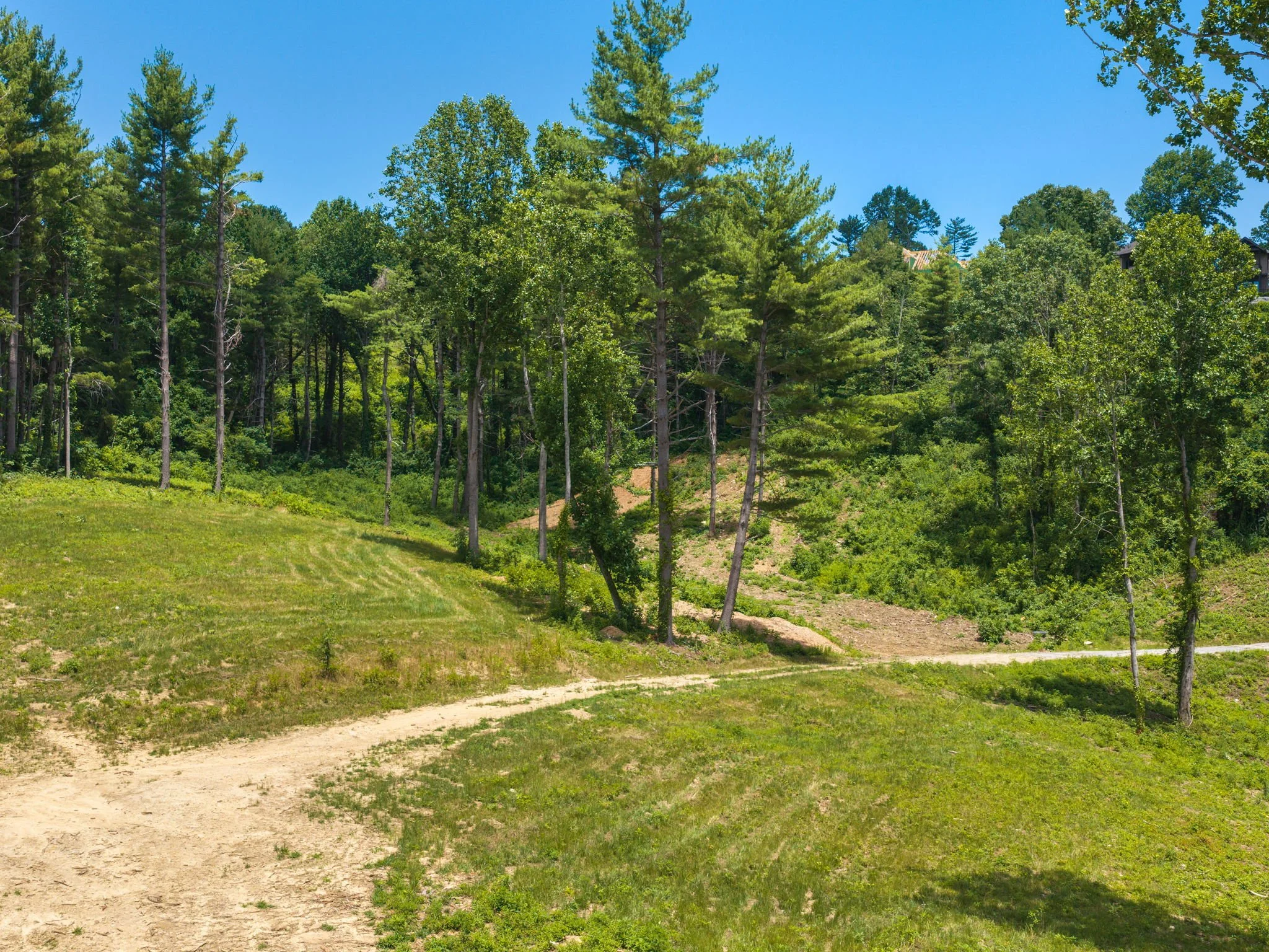 620-dancing-bear-drive-lot195-hendersonville-12.jpg