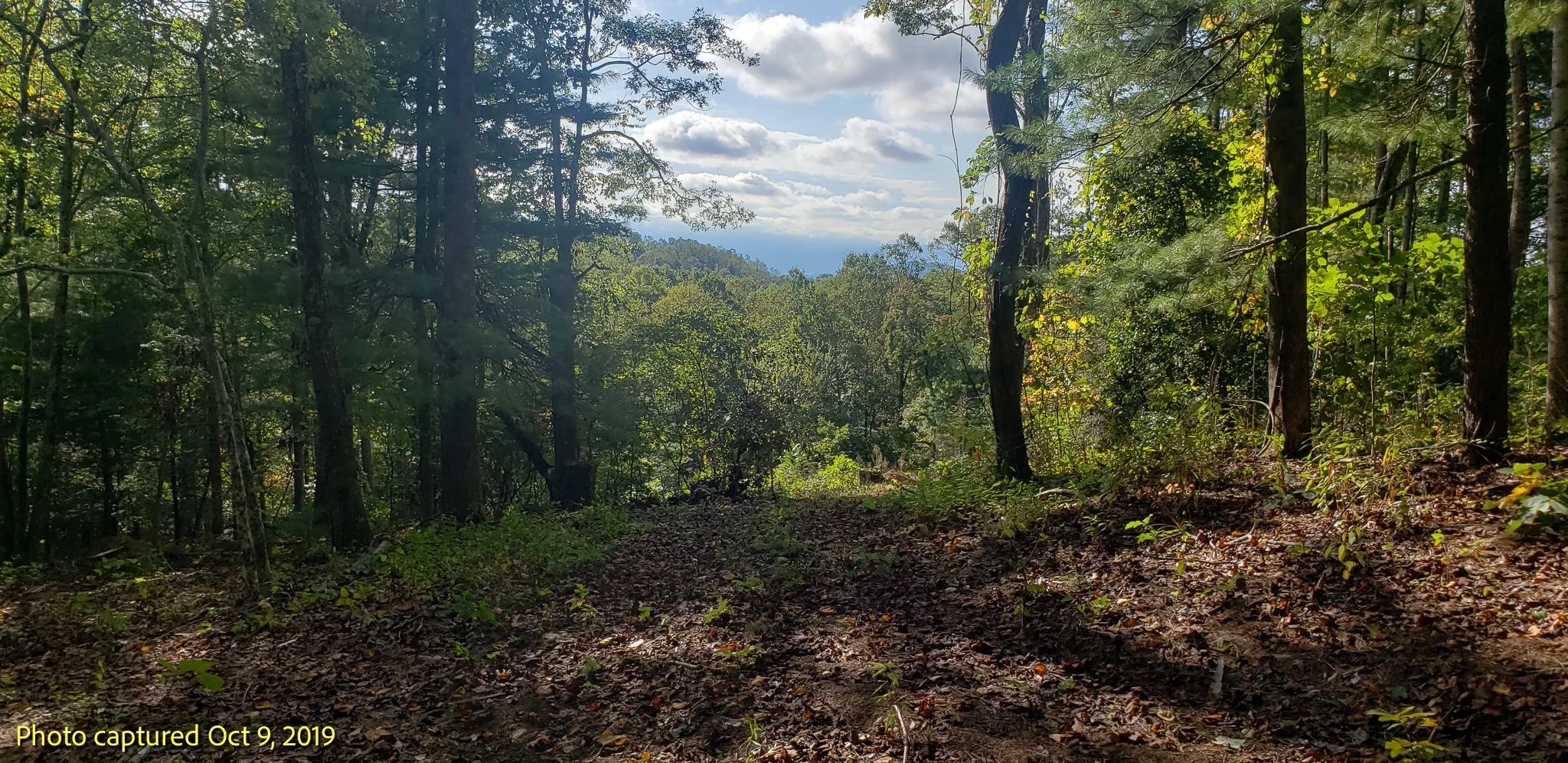 20191009_162645.jpg