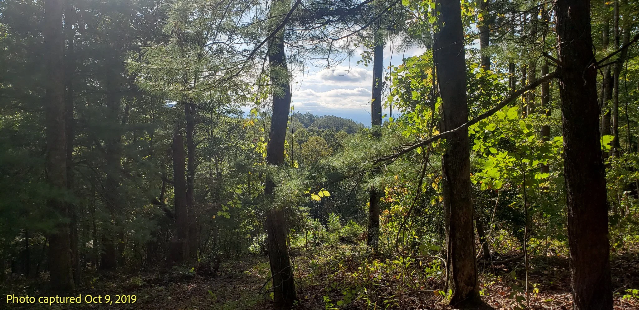 20191009_162655.jpg