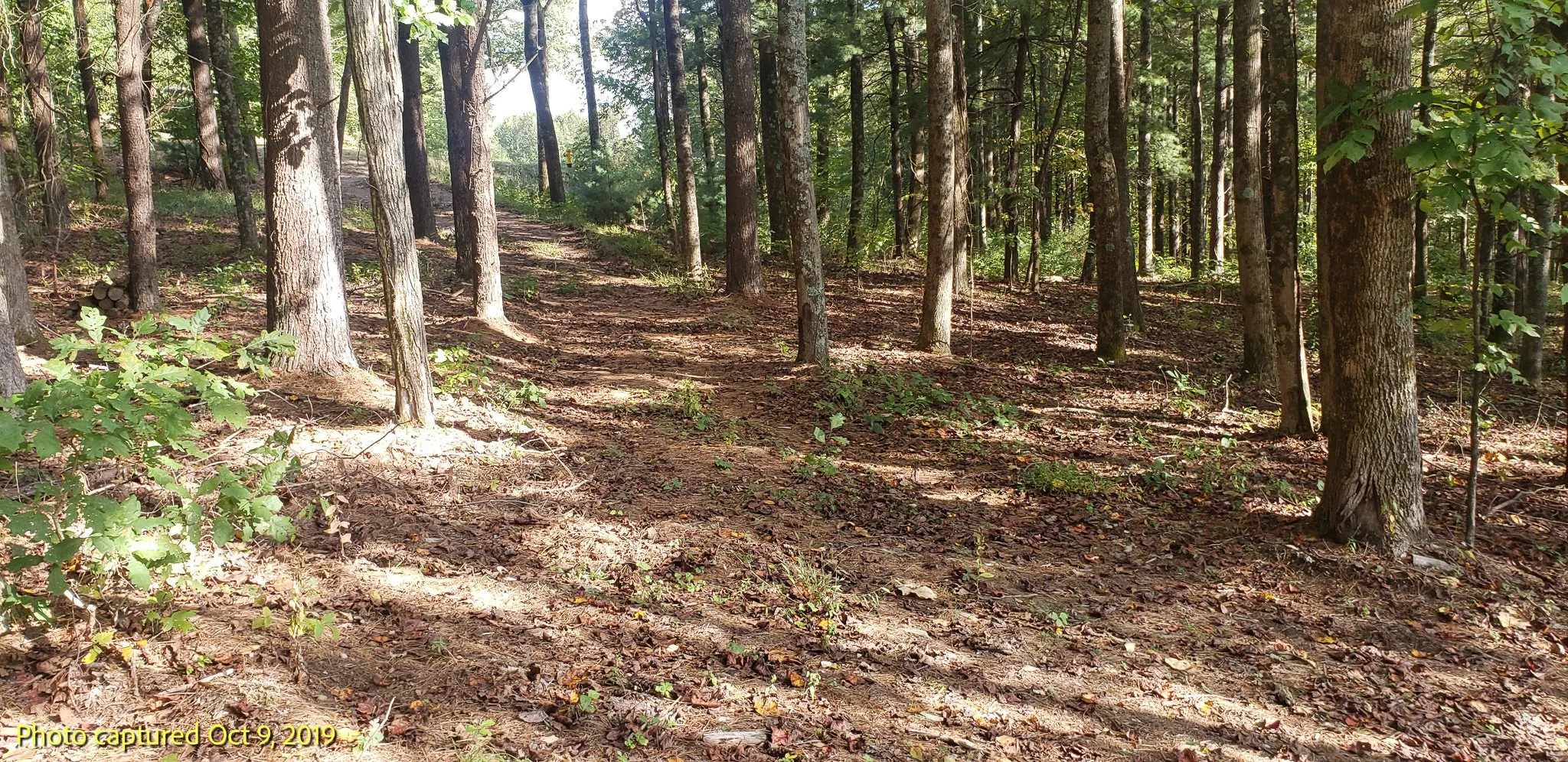 20191009_162658.jpg