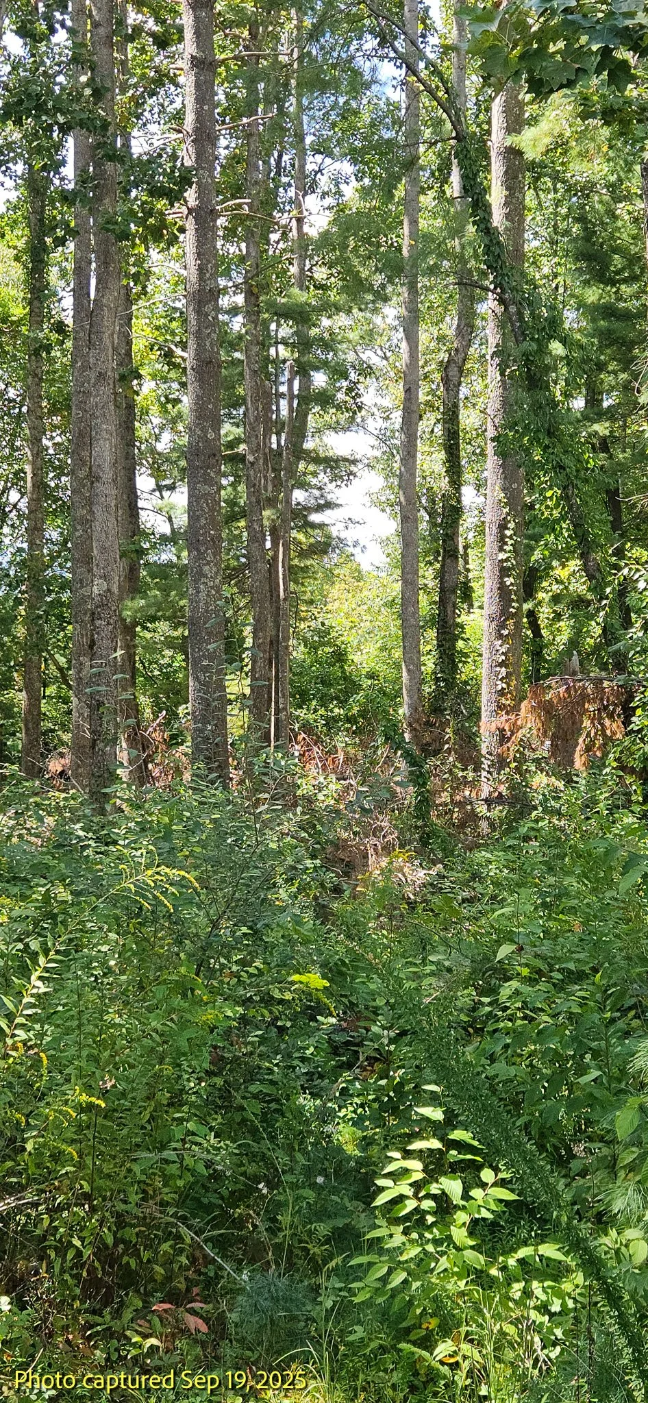 20250918_142210.jpg