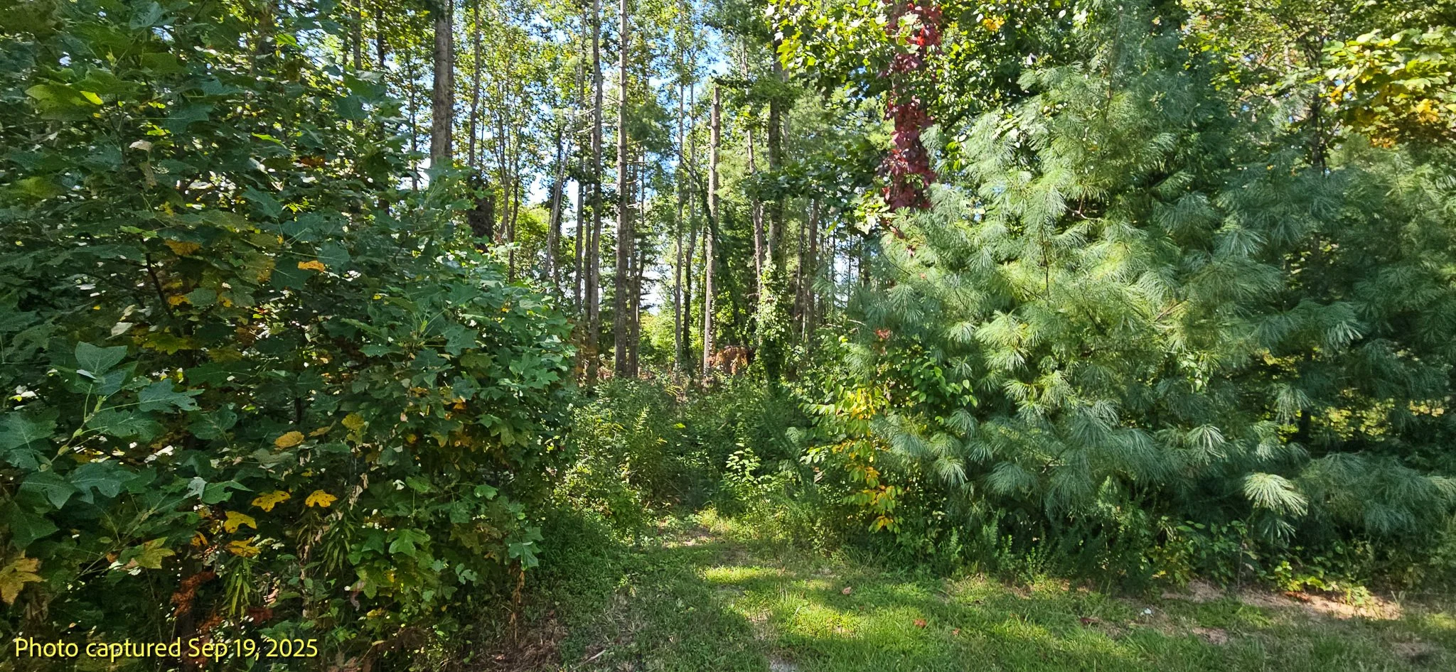 20250918_142218.jpg
