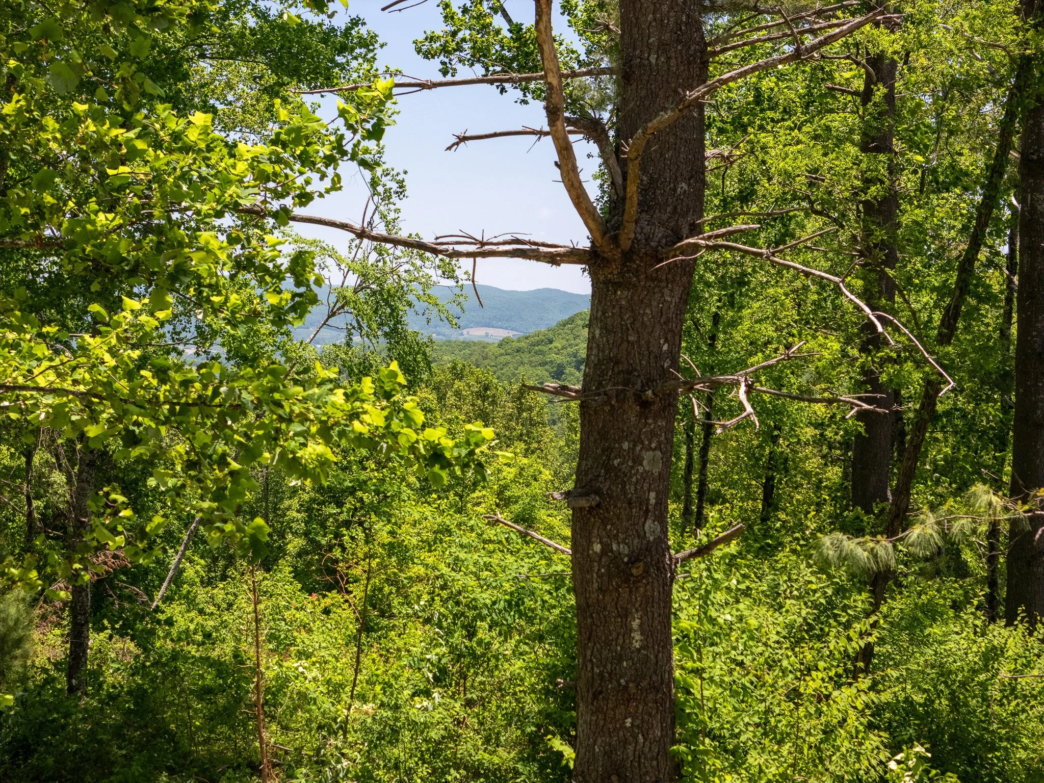 Grand Highlands Lot 189-04.jpg