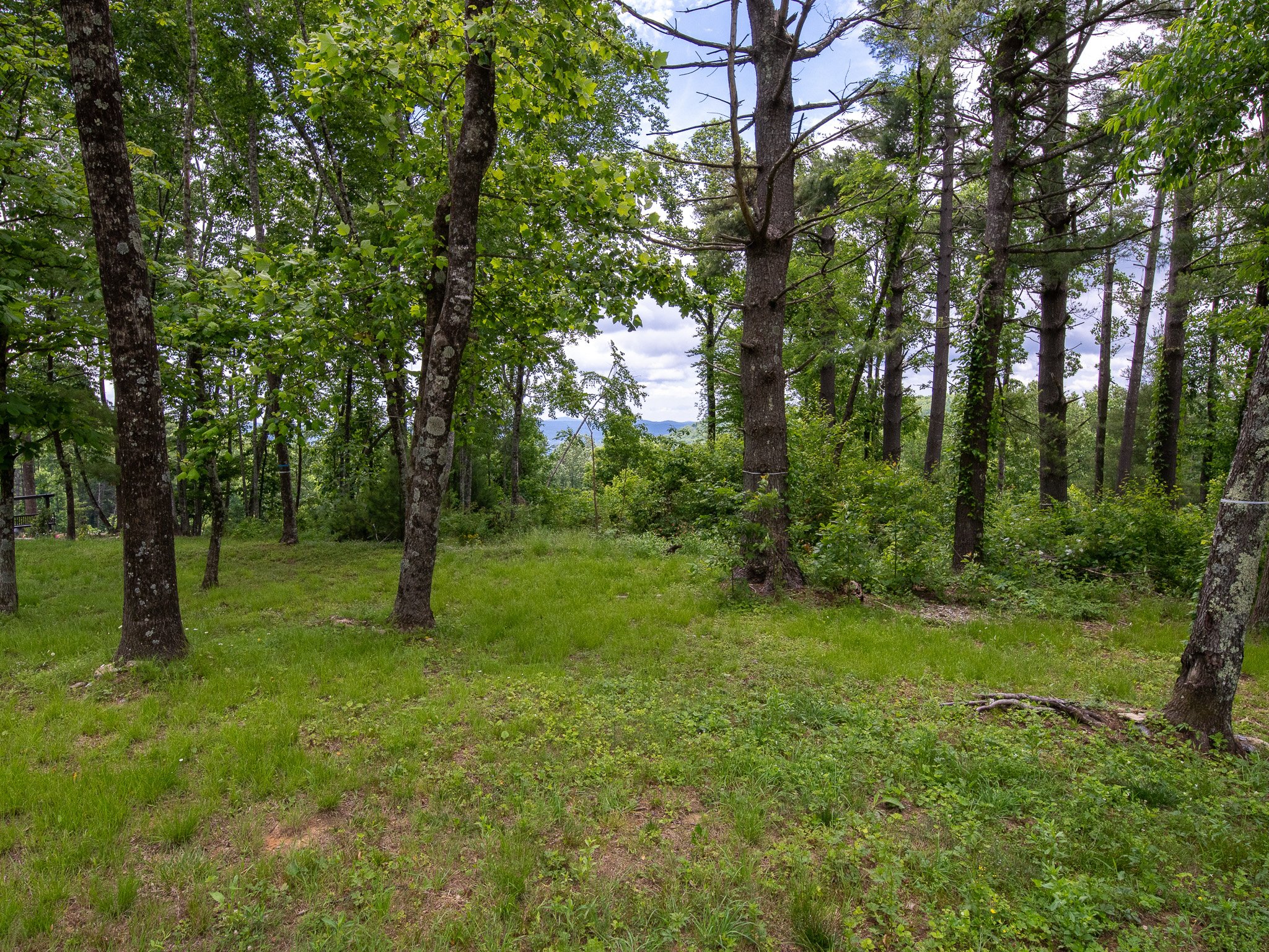 Grand Highlands Lot 189-11.jpg