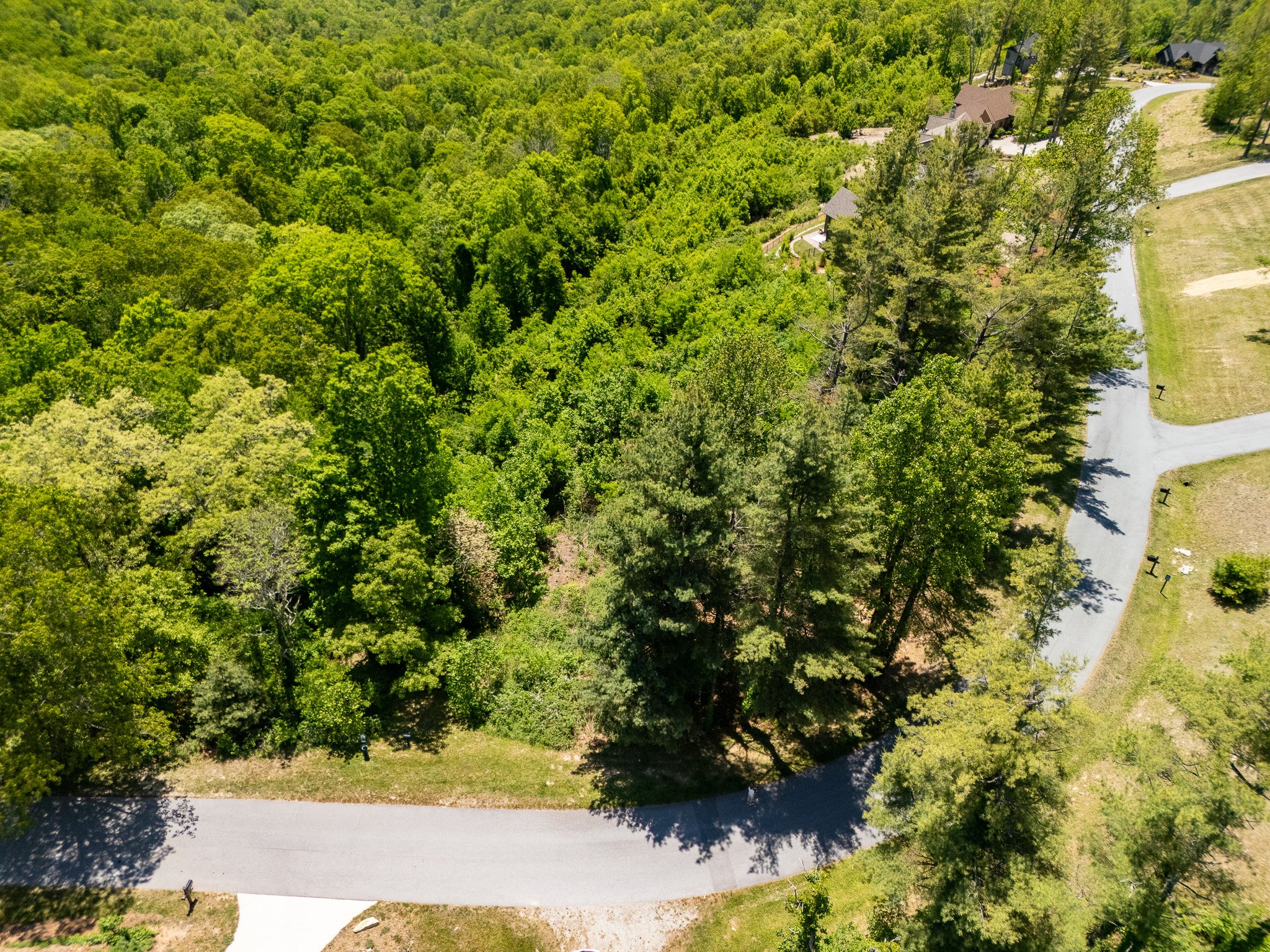 Grand Highlands Lot 178-06.jpg