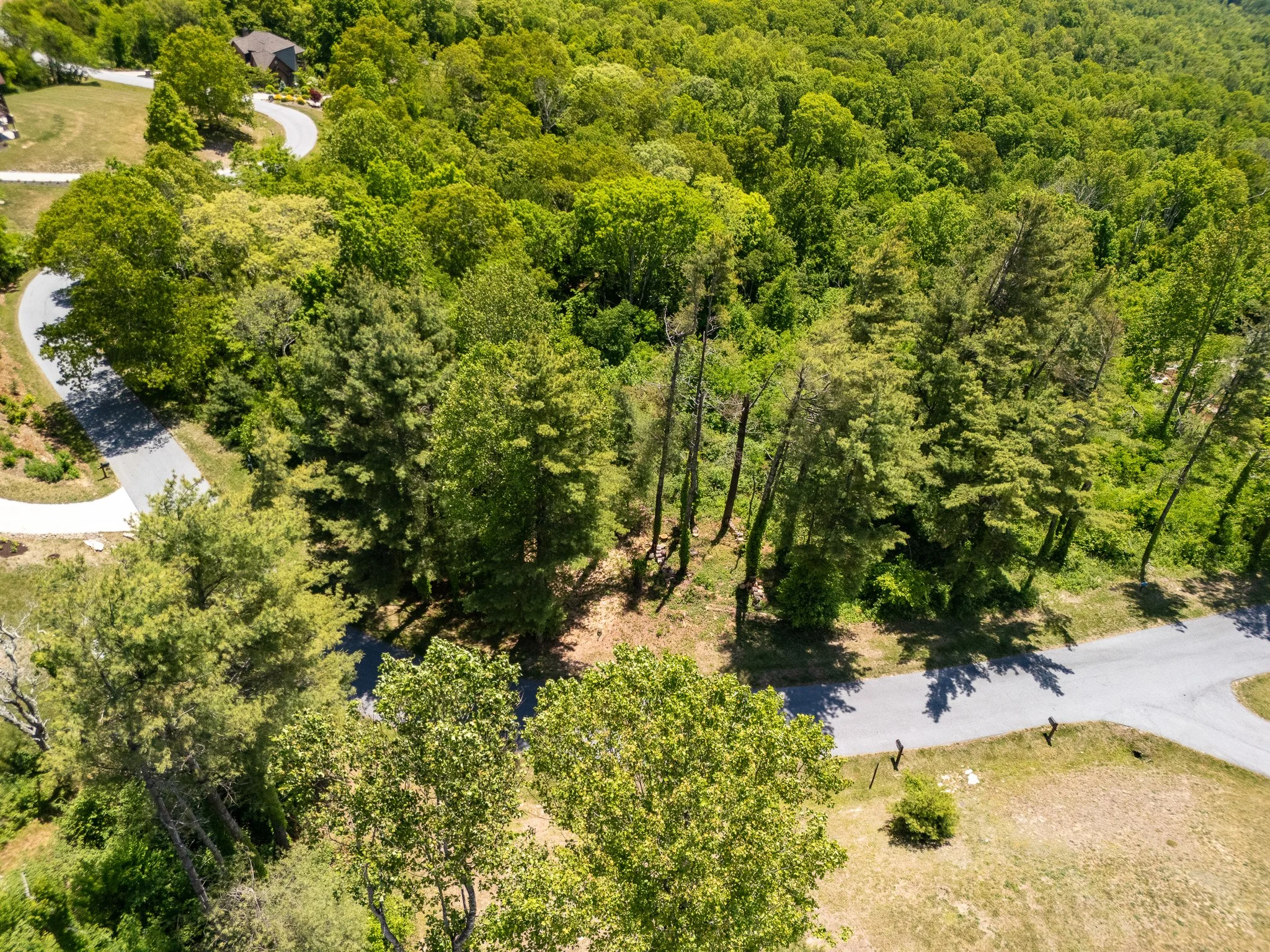 Grand Highlands Lot 178-07.jpg