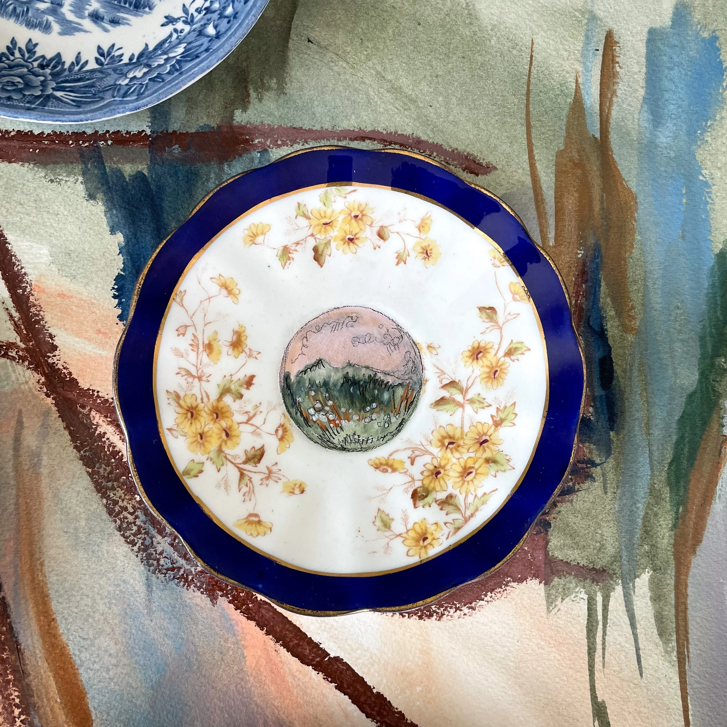 Saucer in a Meadow