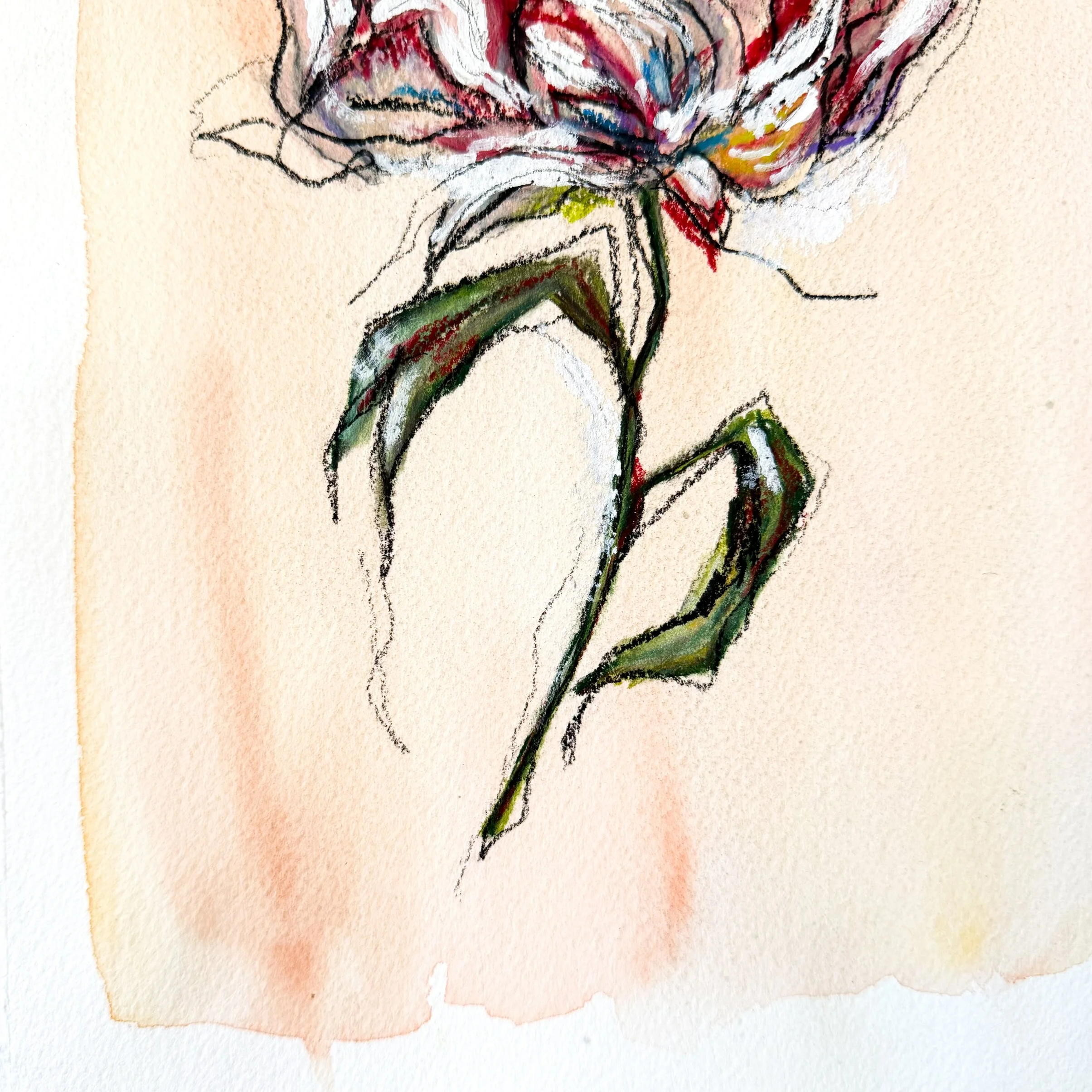 IMG_2021.png