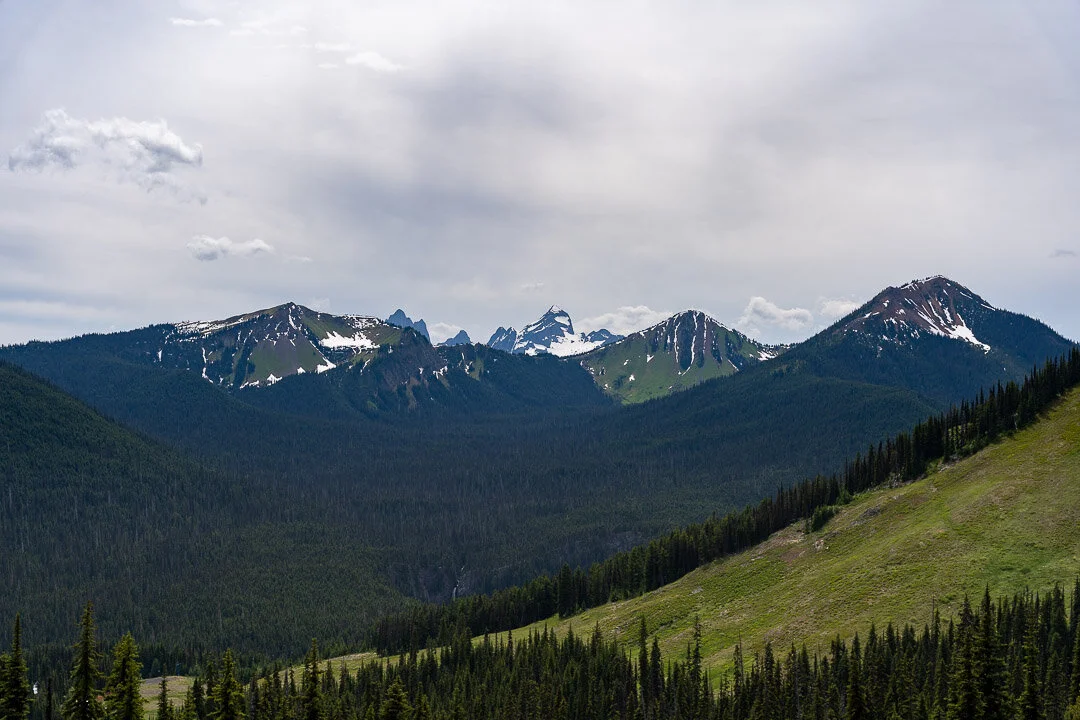 DSC08350.jpg