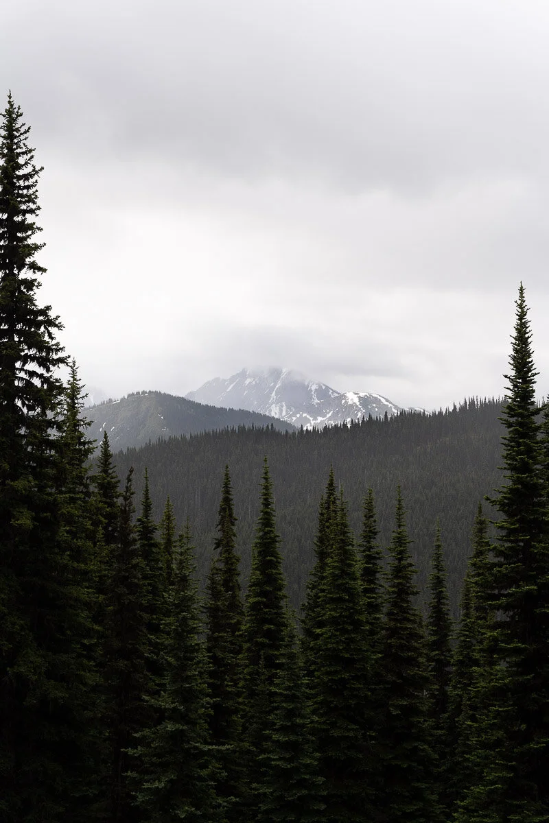 DSC08892.jpg
