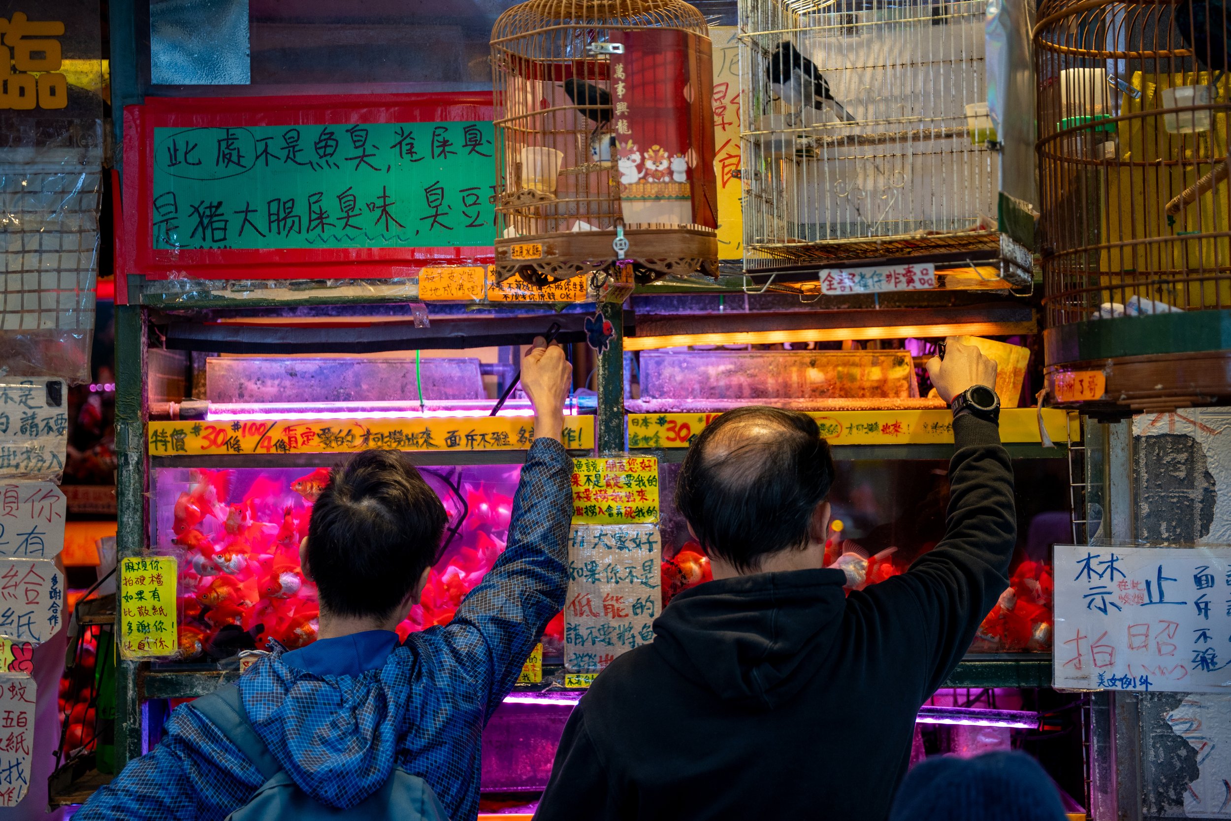 Hong Kong, China