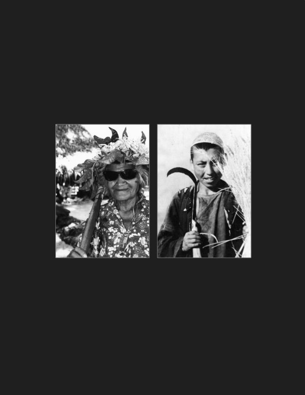 VAR 22.1 (spring 2006) back cover