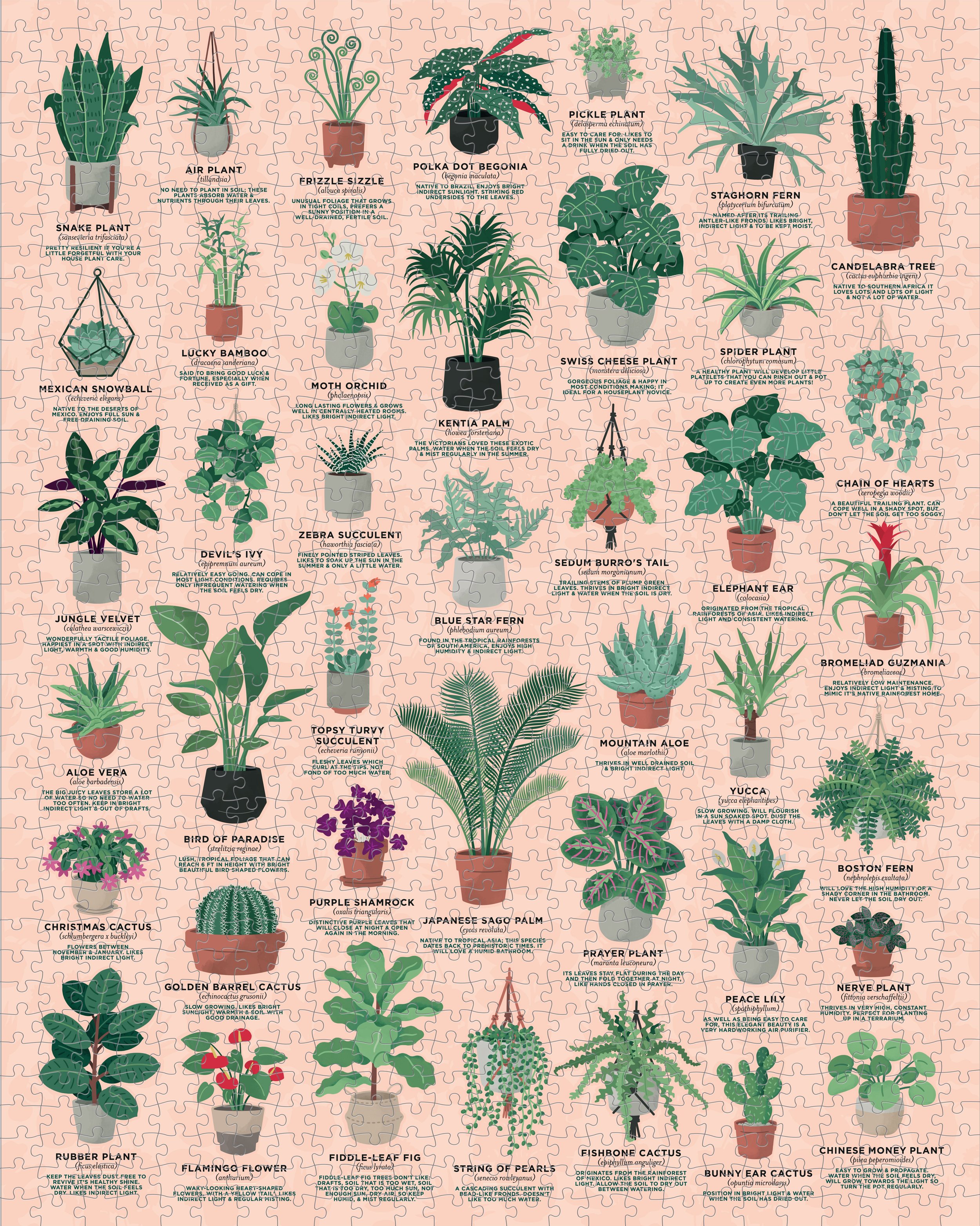 Houseplant 1000 piece jigsaw