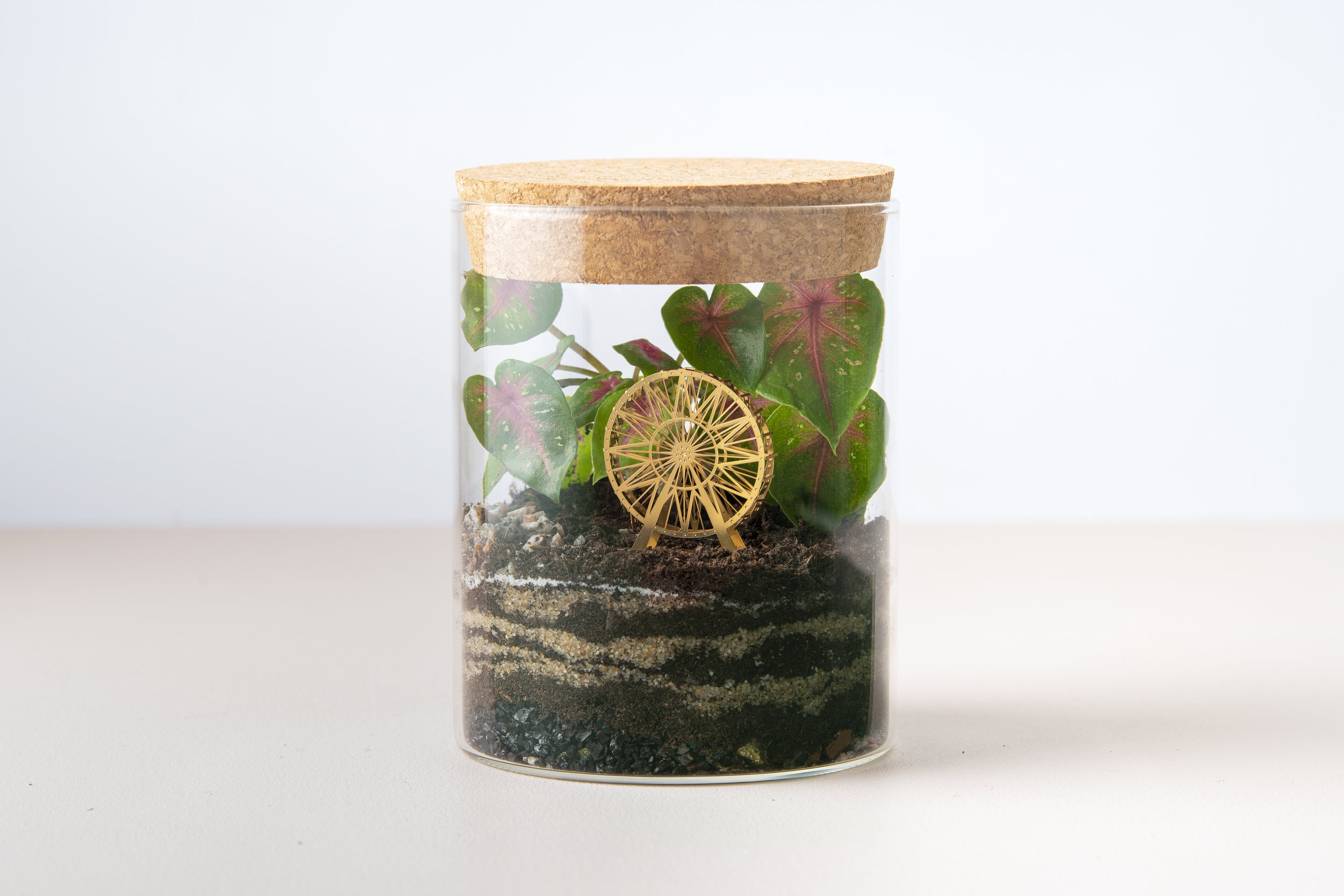 Another-Studio-Mini-Model-Ferris-Wheel-Terrarium-Highres.jpg