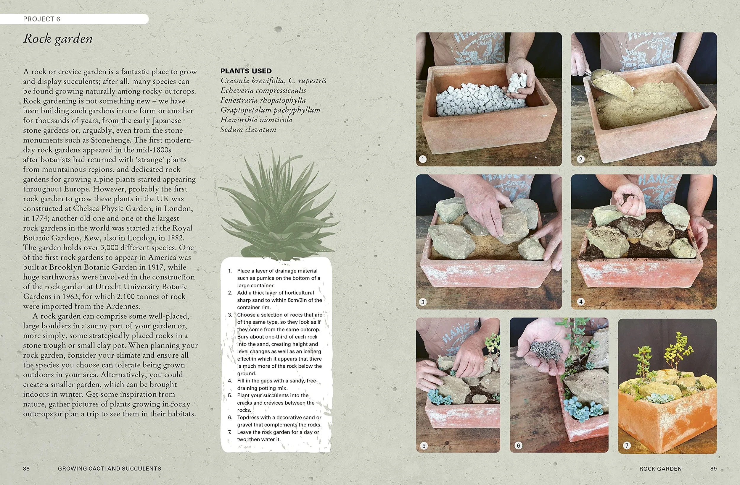 Kew Gardener's Guide to Growing Cacti and Succulents