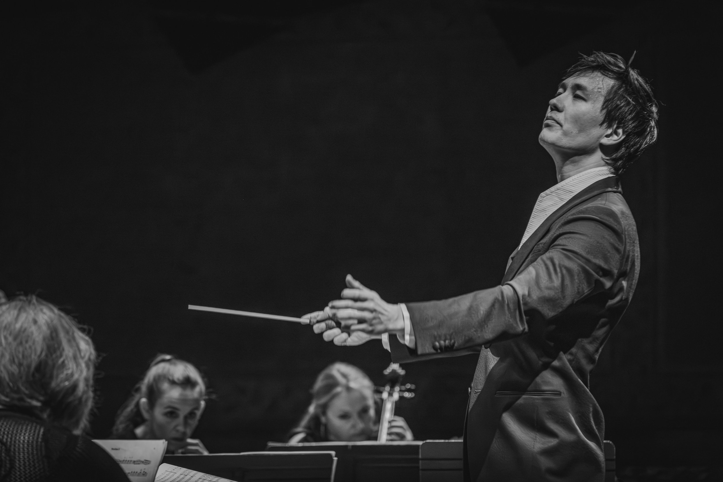 Haydn Chamber Orchestra