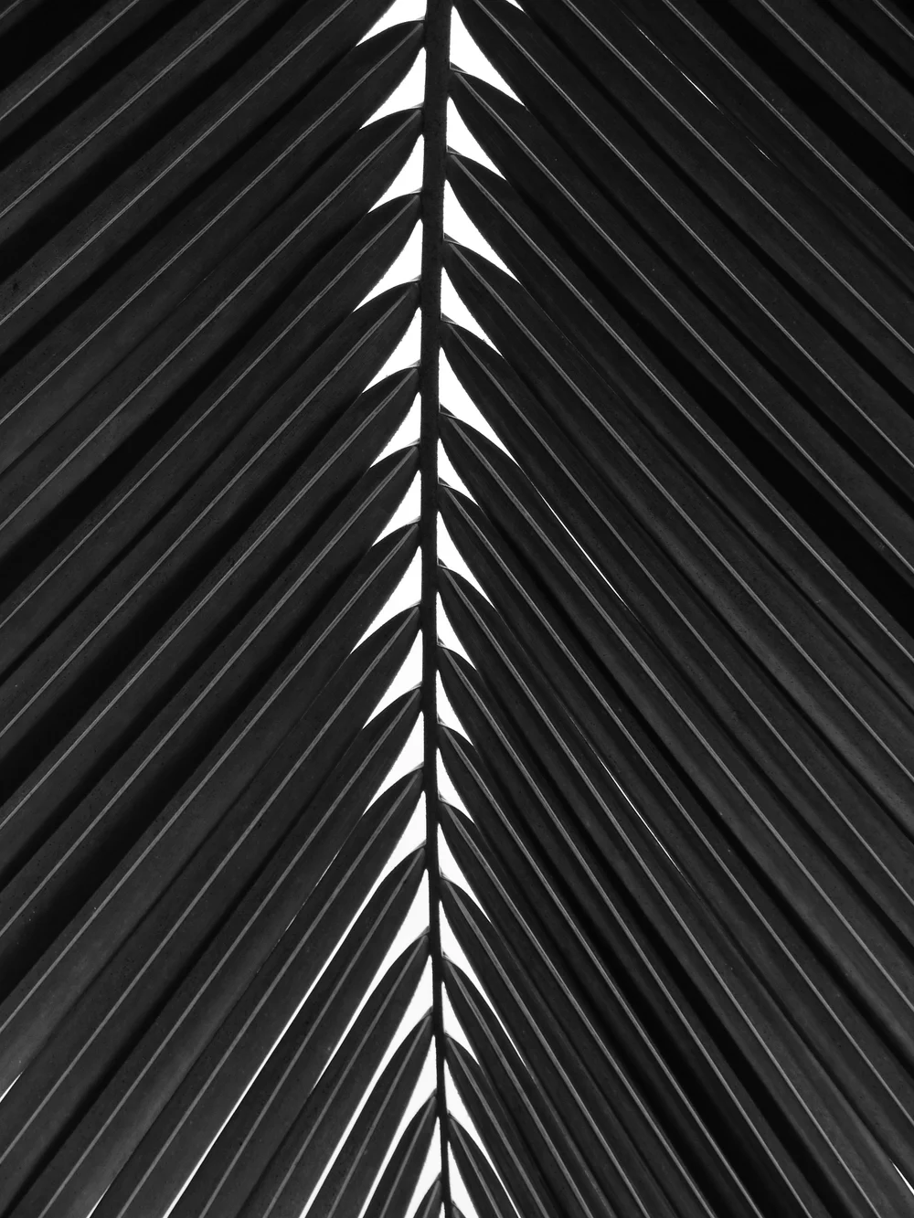 Dermal Fillers & Lip Injections Fort Myers, FL The Med Spa