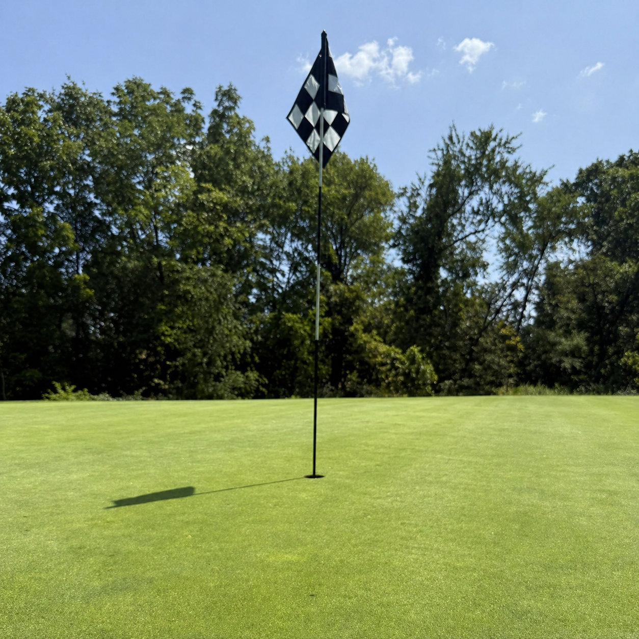 Presenting Sponsor.png