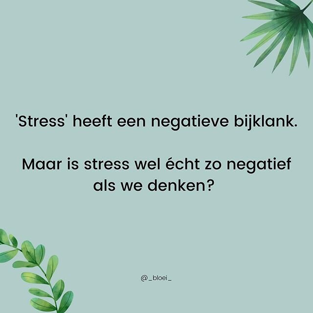 &lsquo;Stress&rsquo; is een populair woord. Het wordt vaak gebruikt en vaak foutief ge&iuml;nterpreteerd als iets ongezonds. Maar wat is stress dan w&eacute;l? 🤔
.
Stress is het gevoel van spanning in je lichaam als reactie op prikkels dat wordt gev