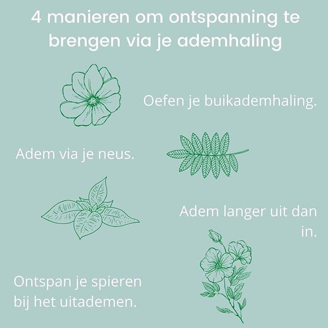 Een simpele toepassing om onmiddellijk ontspanning bij jezelf te brengen is door te ademen 💨
.
1. Oefen je buikademhaling. Bij het inademen blaas je je buik helemaal vol met lucht alsof je buik een ballon is🎈 Voel hoe je buik op en neer beweegt bij