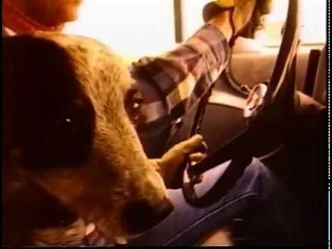 04 Letters Whataburger 30