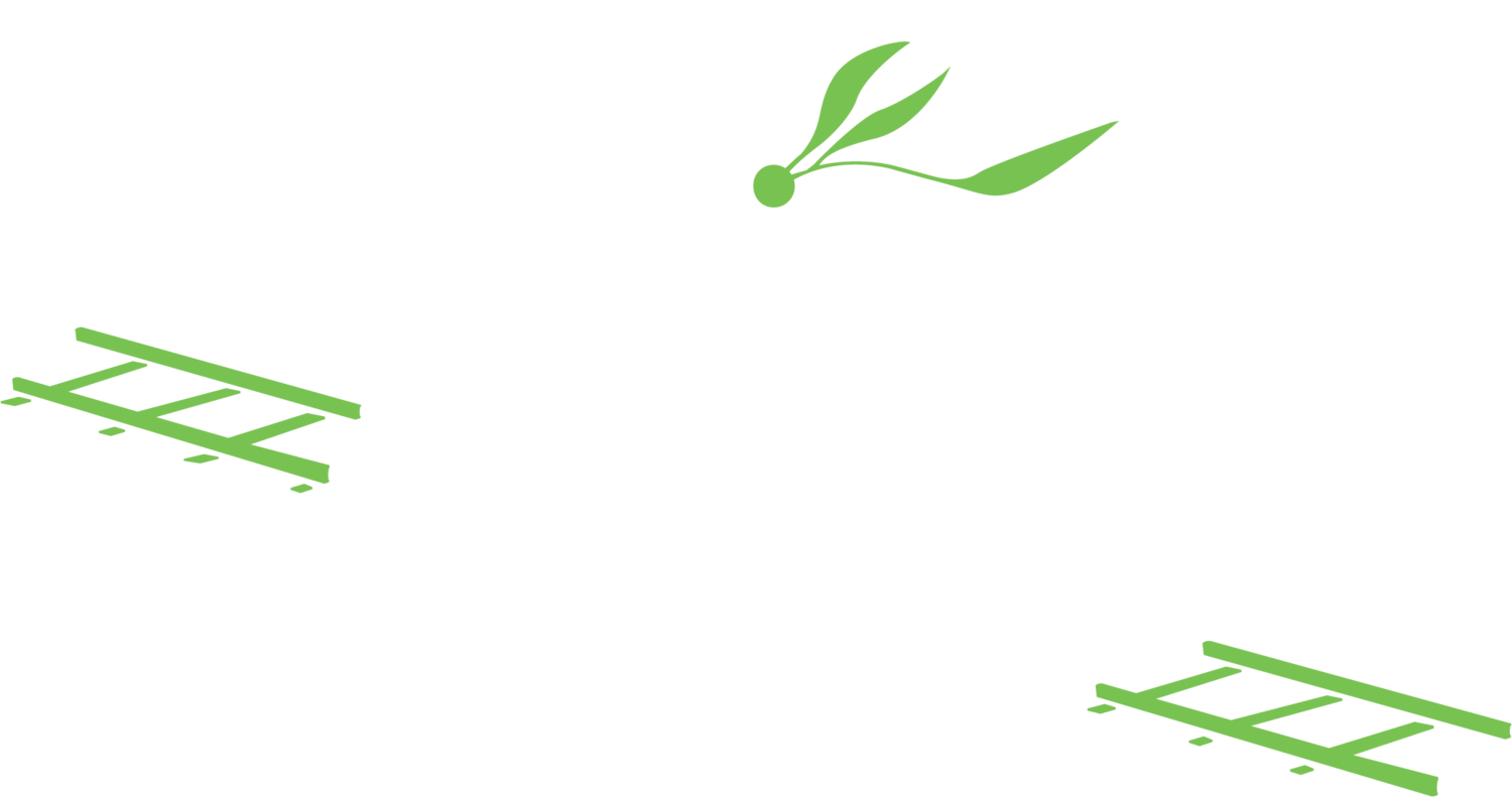 The Olive Station 