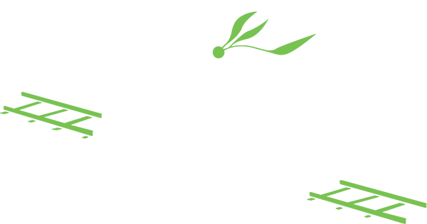 The Olive Station 