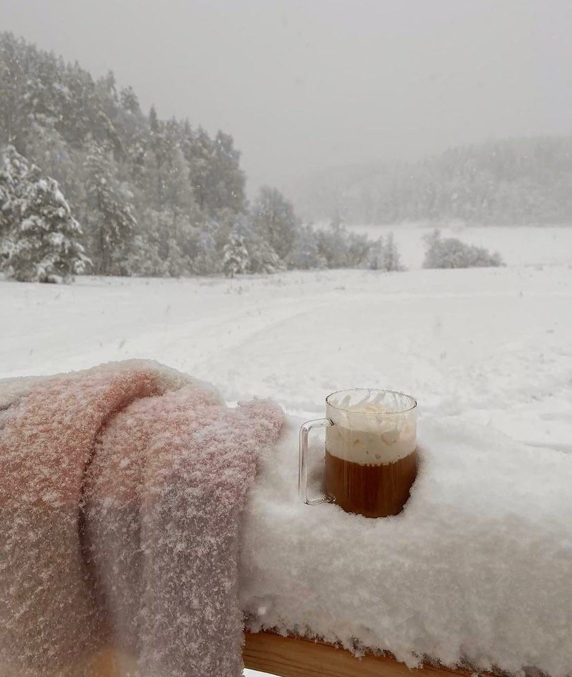 Mood 1 ou 2 en ce dimanche ? 🌨 

#betree #winter #novembre #smallbusinessowner