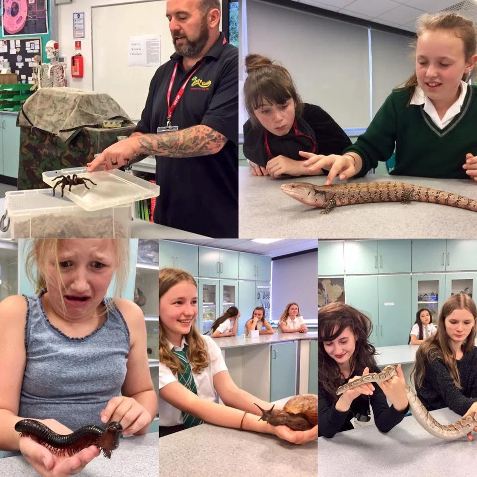 Animal Handling — School Directory