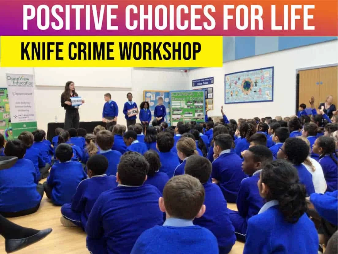 Knife Crime Prevention Workshop — School Workshop Directory