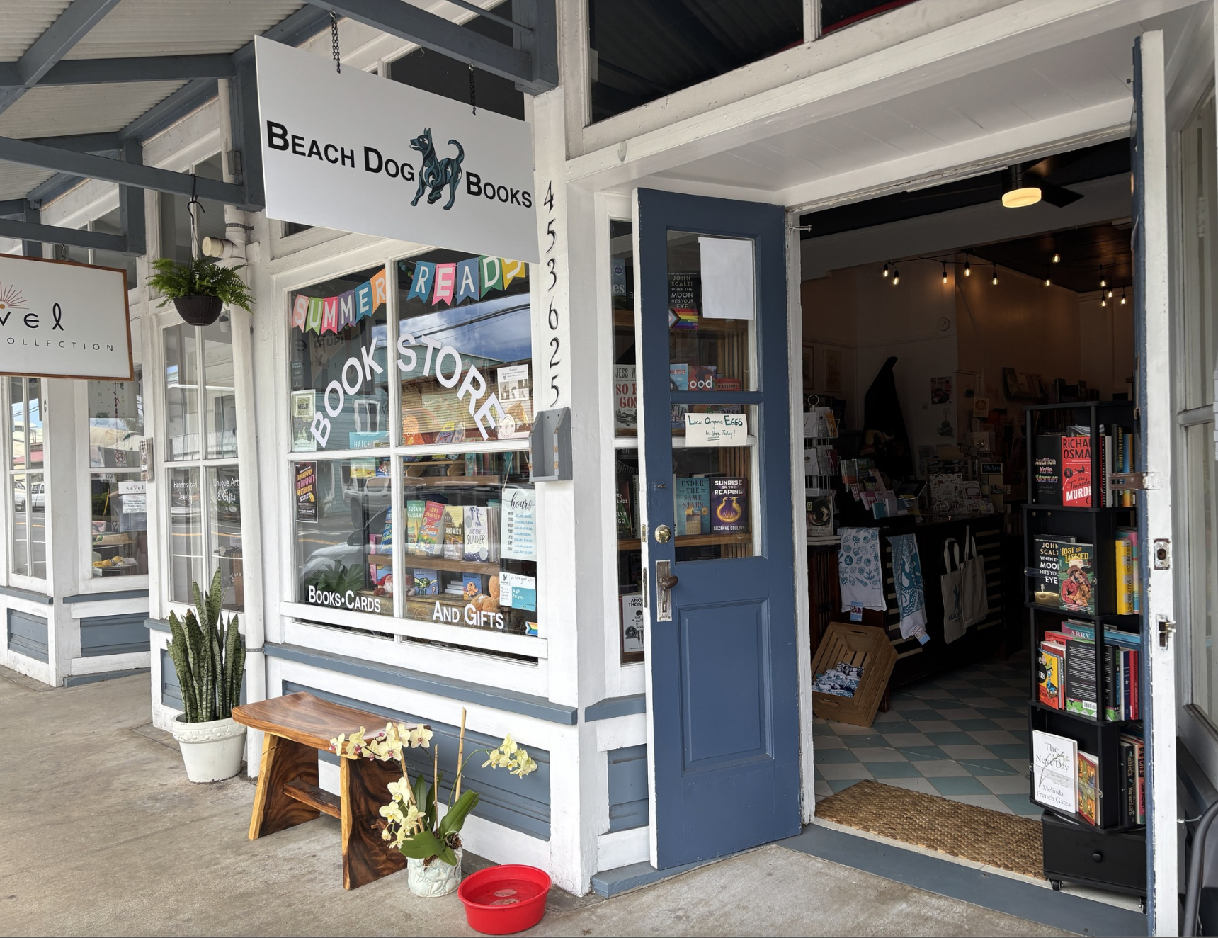 Underjungle at Beach Dog Books