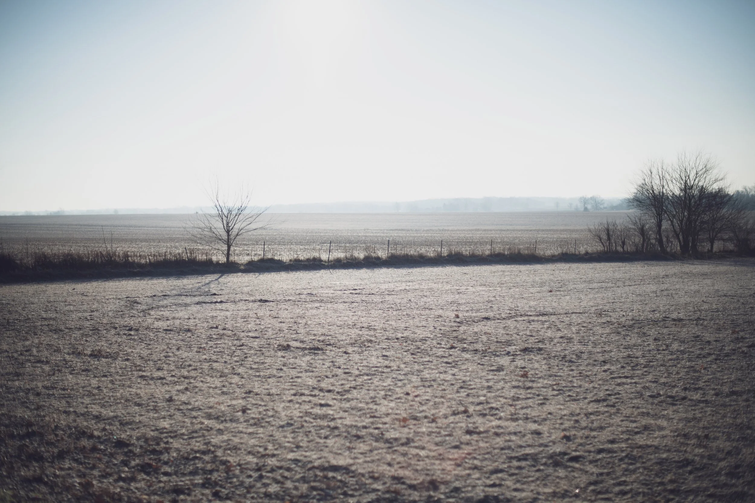 Heather-Fegan-Best-Landscape-Outdoor-Photography-Avon-Illinois-Winter-Field.jpg