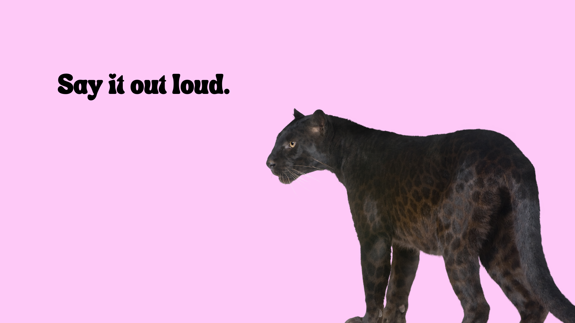 11-The B()XX Brand_Brand Guidelines.png