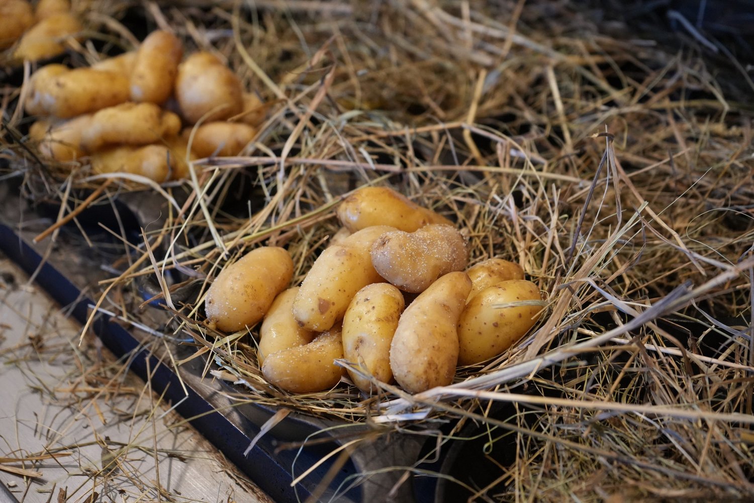 Hospitality Group — Kneads • Bakery • Cafe • Mill Westport, CT