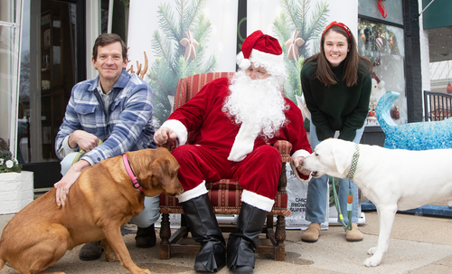 Ashwood Financial Partners team with dogs