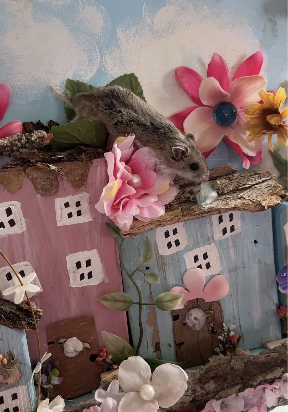 hampster Munch in village Screenshot 2025-07-16 at 3.33.44 PM.jpg