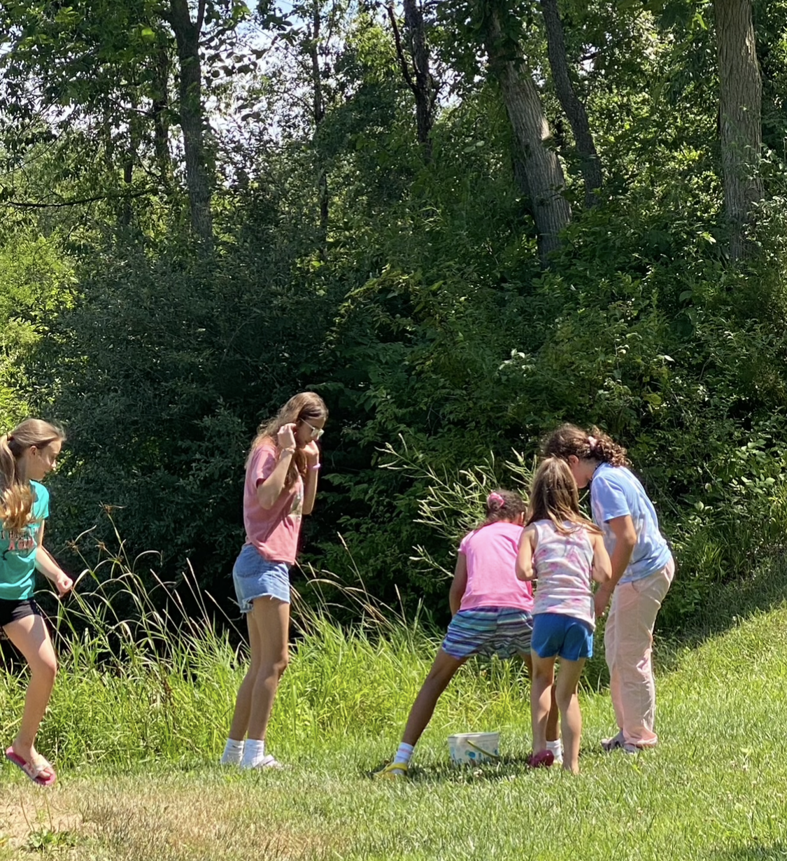 View recent photos 3.png