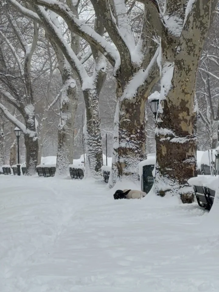 Marked safe from the coldest wettest darkest NYC winter&hellip;.barely