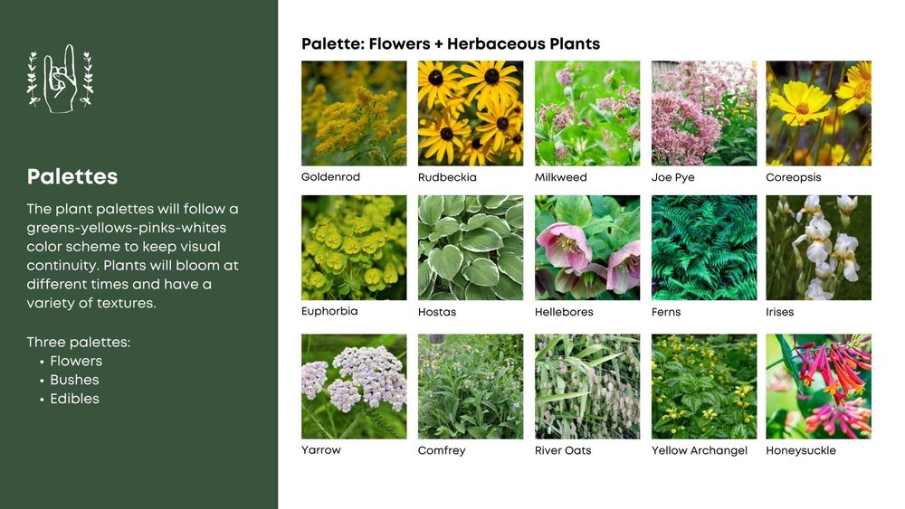 Plant Palettes_ 15 Flowers.jpg