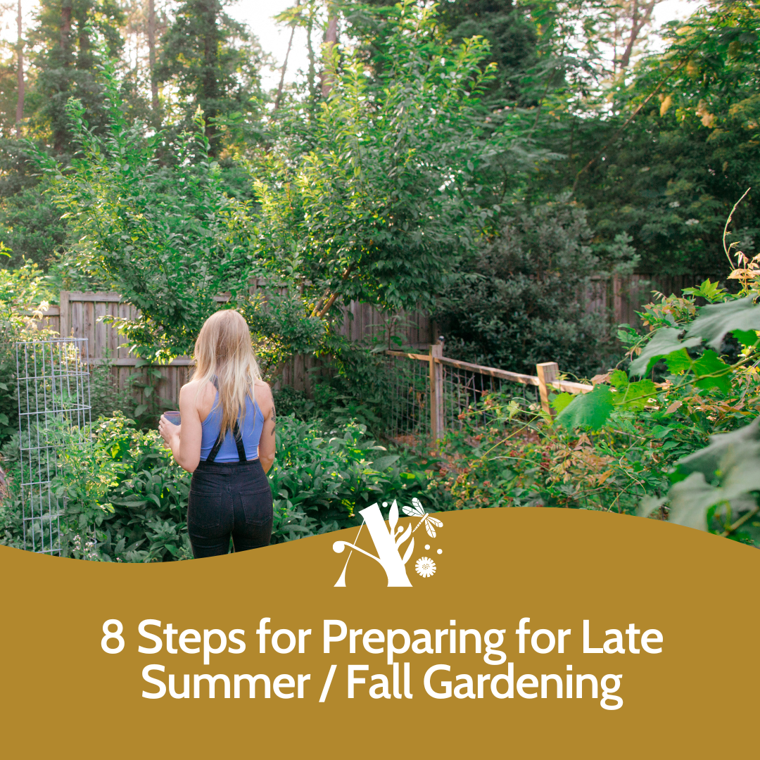 Late Summer Garden Tips: What should you be preparing and planting in your Georgia garden right now?