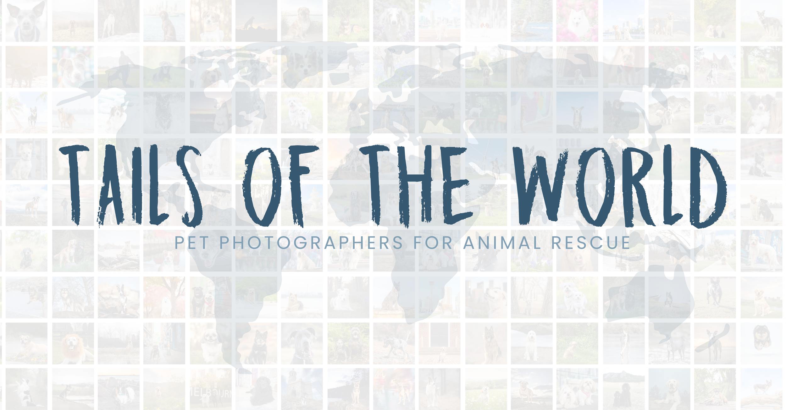 Tails of the World Collective,  Ares & Emzy Pet Photographer