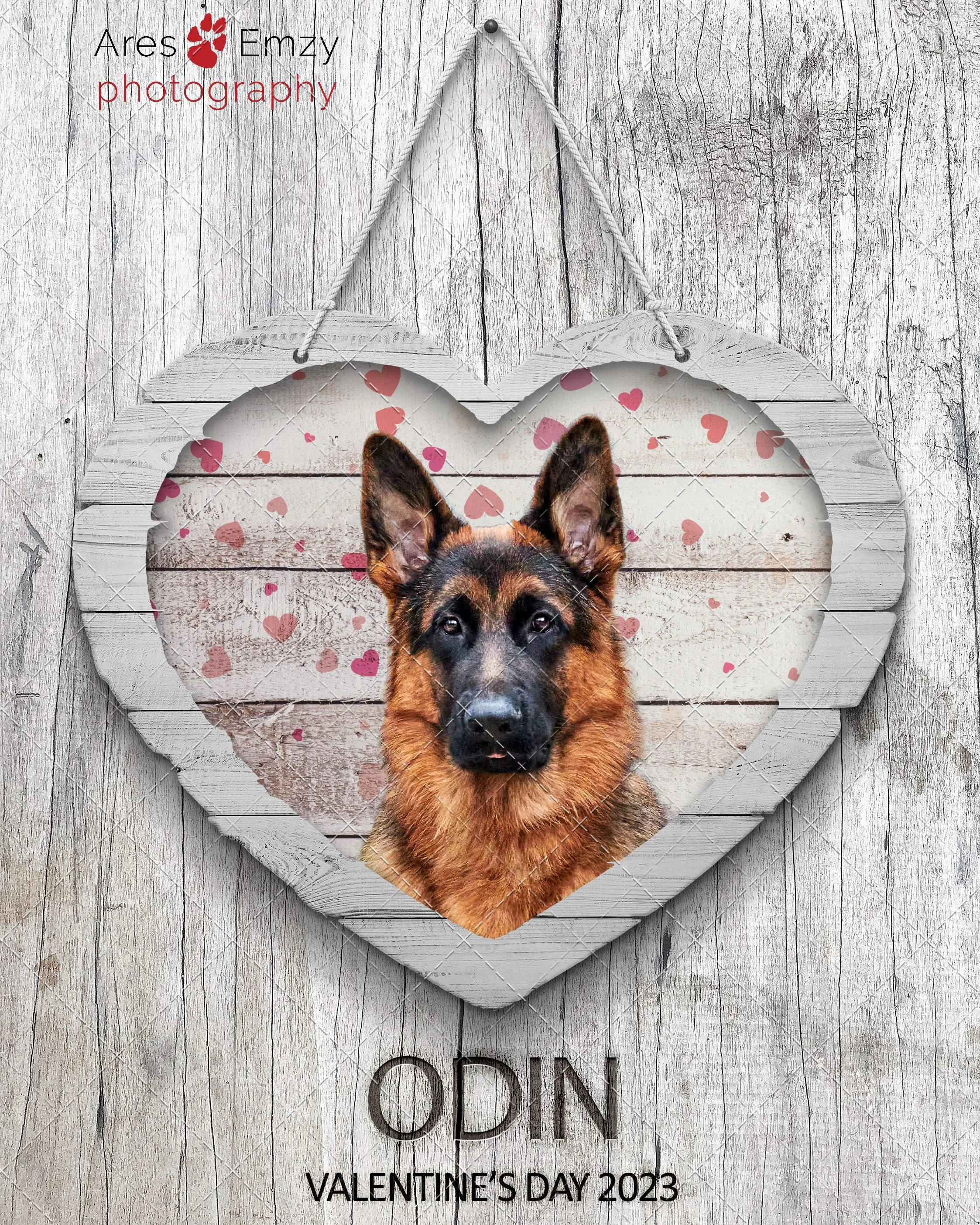 Odin, the German Shepherd, in a Shiplap Heart