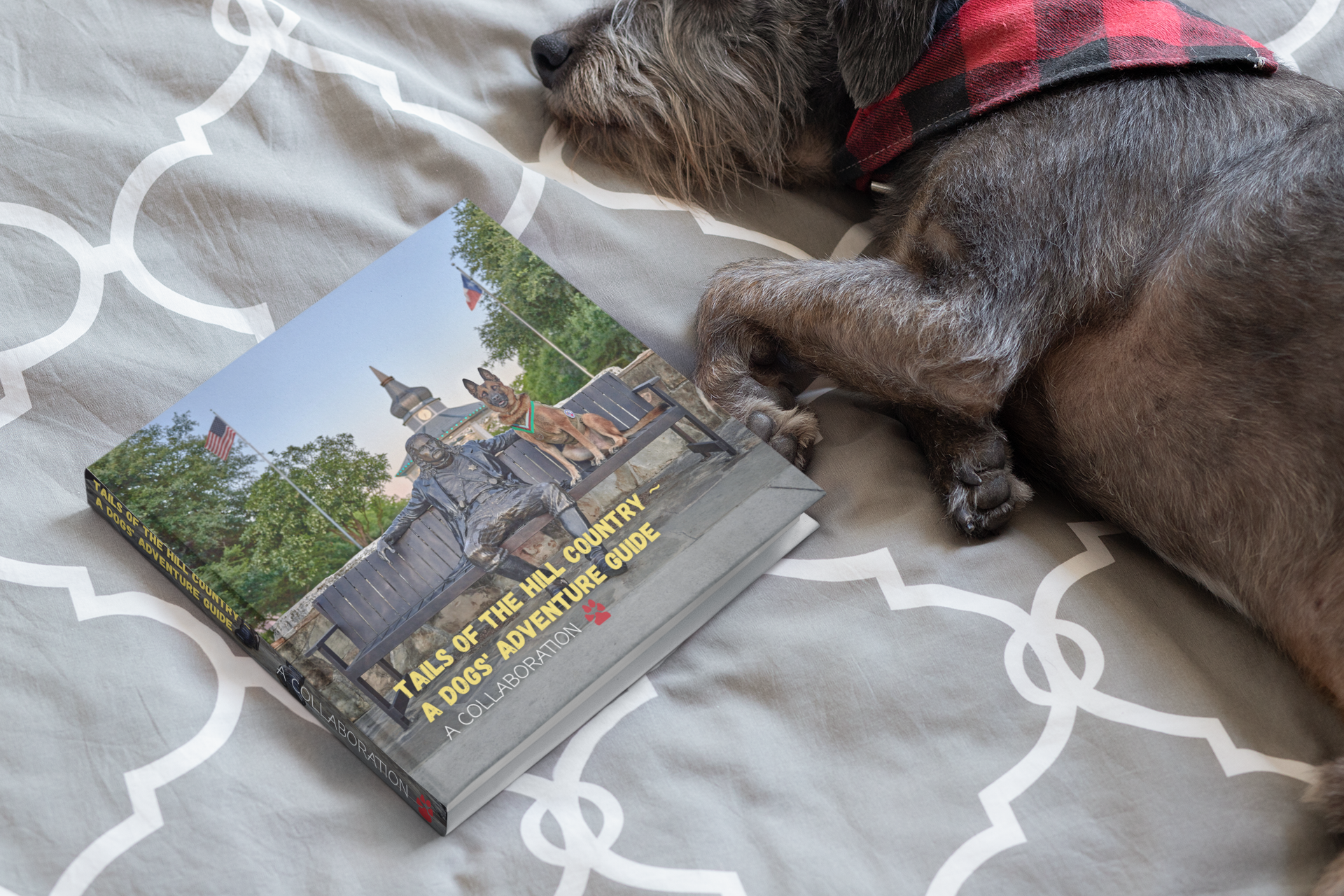 Tails of the Hill Country a Dogs Adventure Guide Cassi Hart Photography