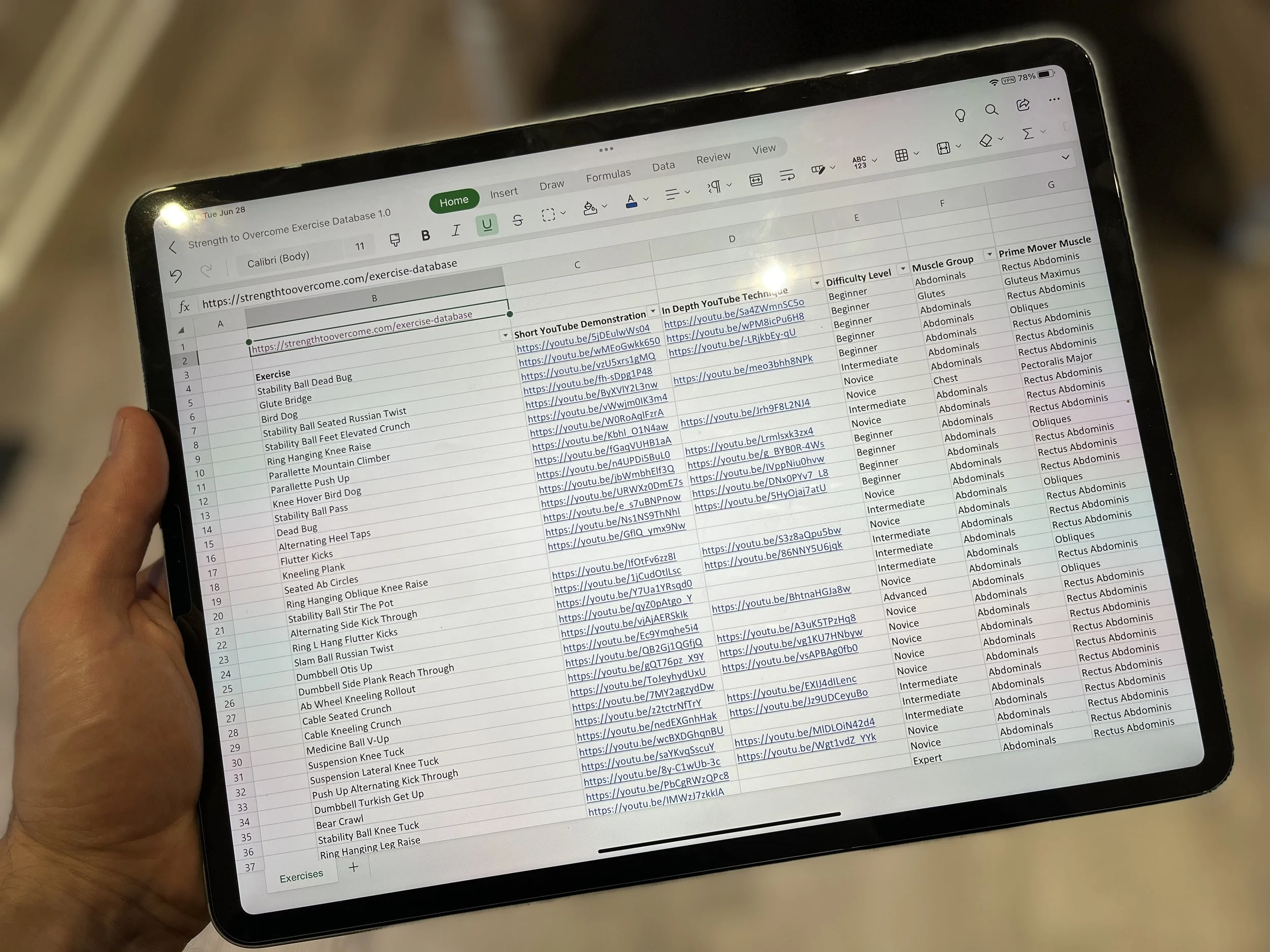 Functional Fitness Exercise Database Microsoft Excel and Google