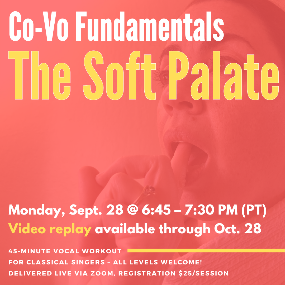 2026 09 28 Soft Palate.png