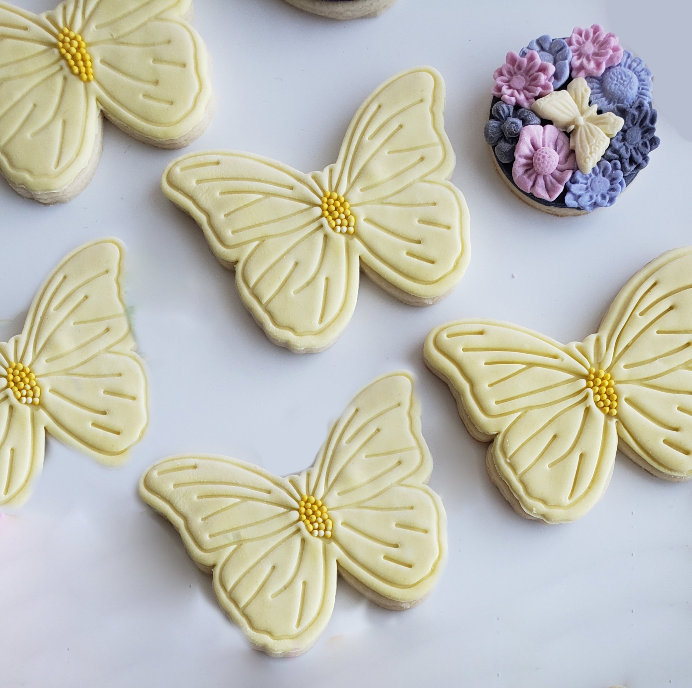 Butterflies